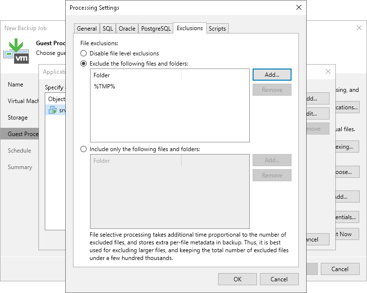 Defining File Exclusions and Inclusions VM Guest OS Files
