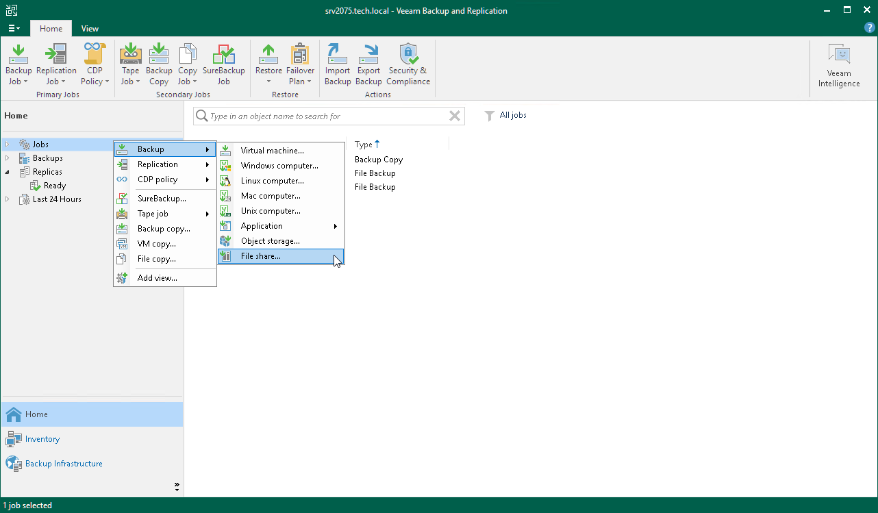 Launch New File Share Backup Job Wizard