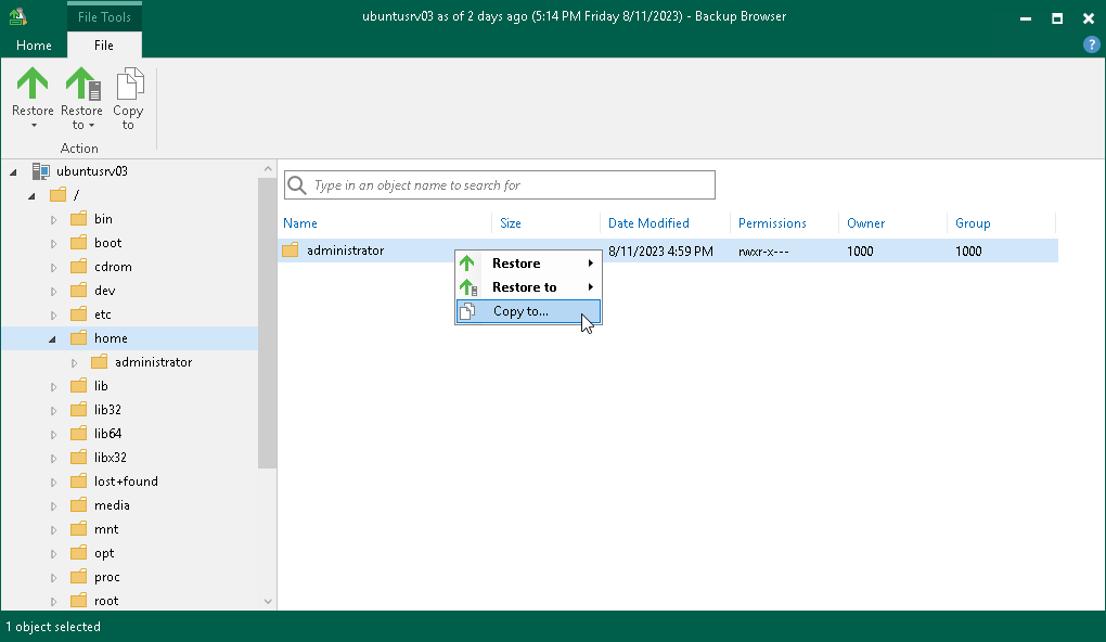 Restore to New Location