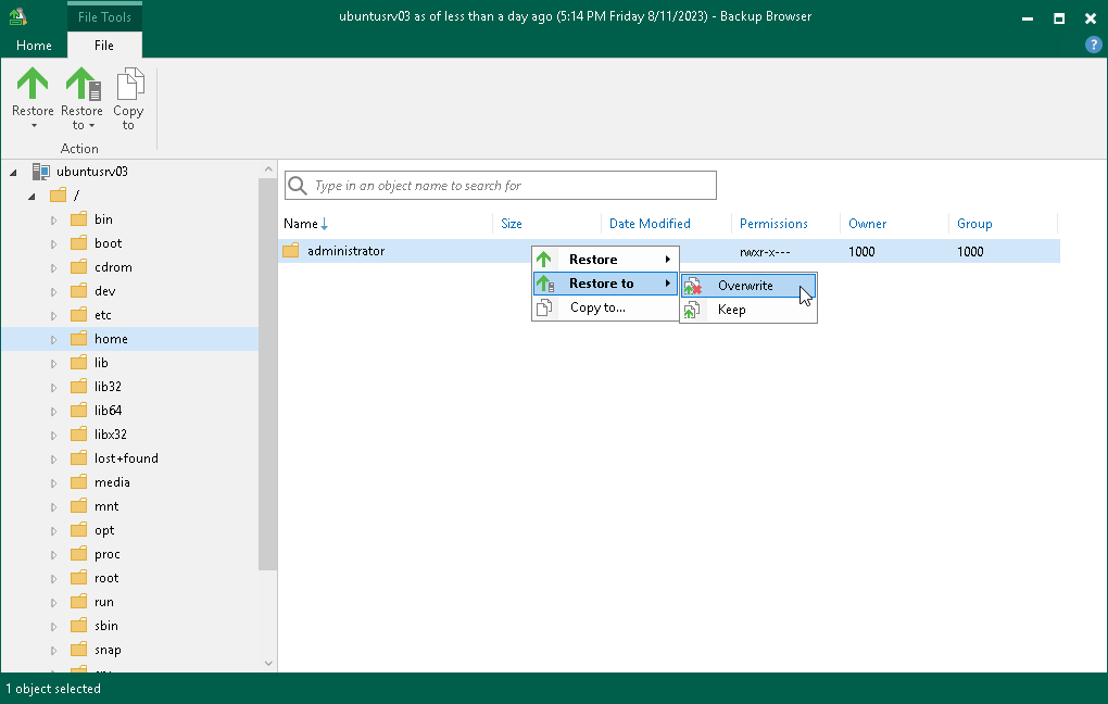 Restore to New Location