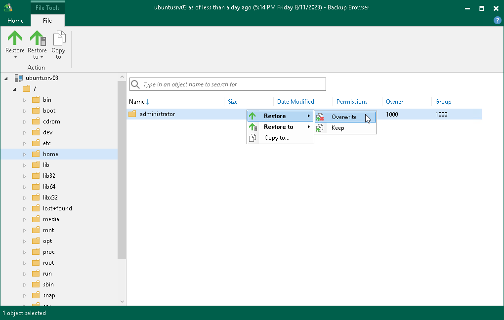 Restore to Original Location
