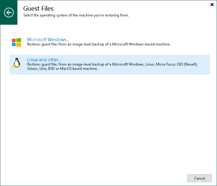 Step 1. Launch Guest File Restore Wizard