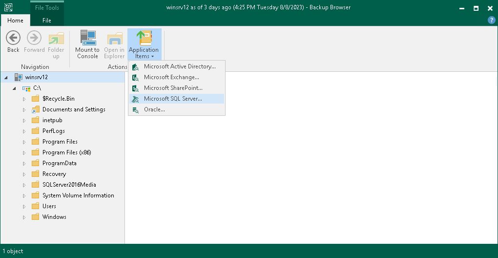 Step 7. Finalize Restore
