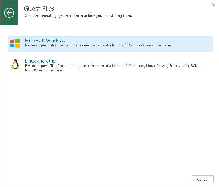 Step 1. Launch File Level Restore Wizard