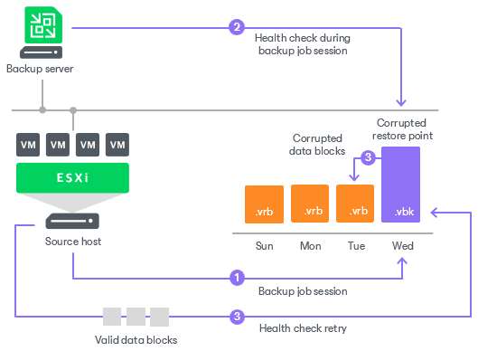 Health Check for Backup Files