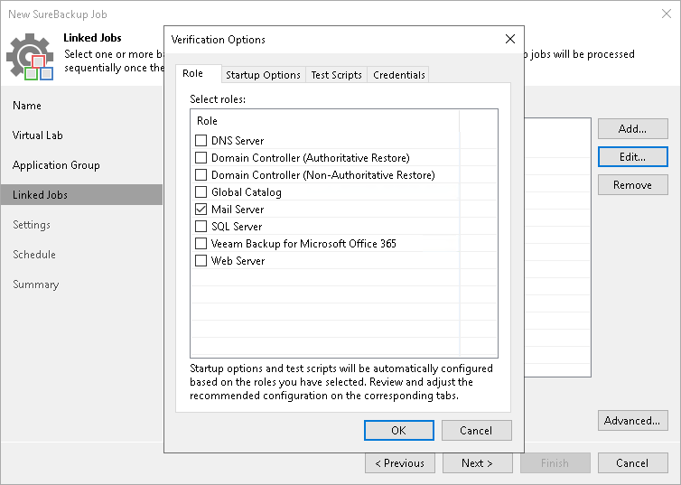 Step 6. Specify Recovery Verification Options and Tests