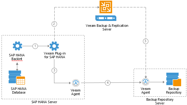 How Veeam Plug-in for SAP HANA Works