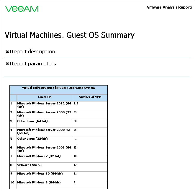 Guest OS Summary Report Output