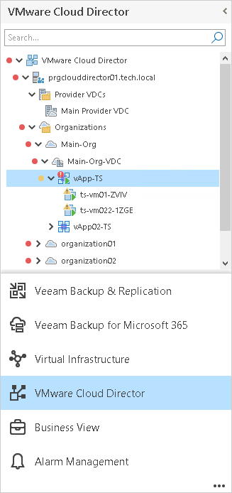 VMware Cloud Director View
