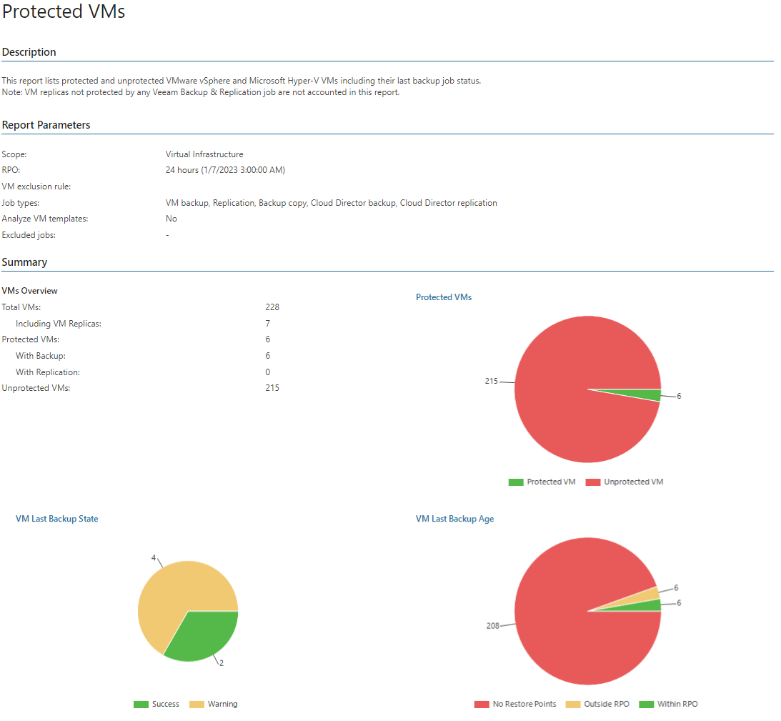 Protected VMs Report Preview