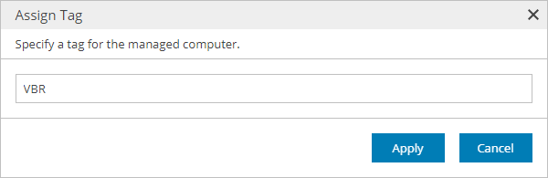 Assigning Custom Tags to Hosted Veeam Backup & Replication Servers
