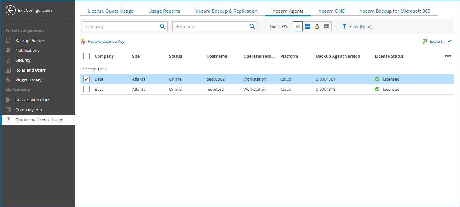 View Agents License Usage Information