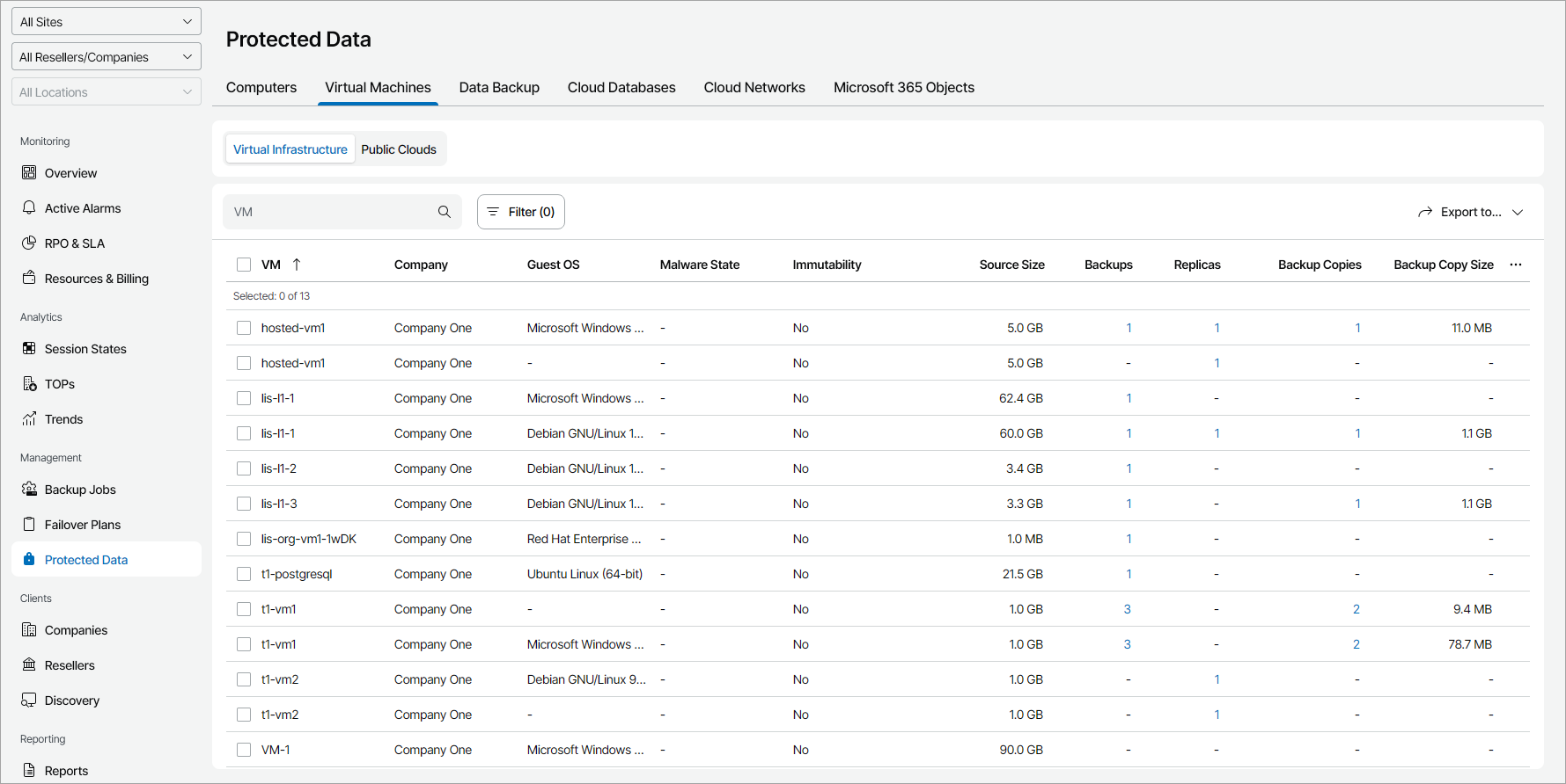 Export Protected VM Details