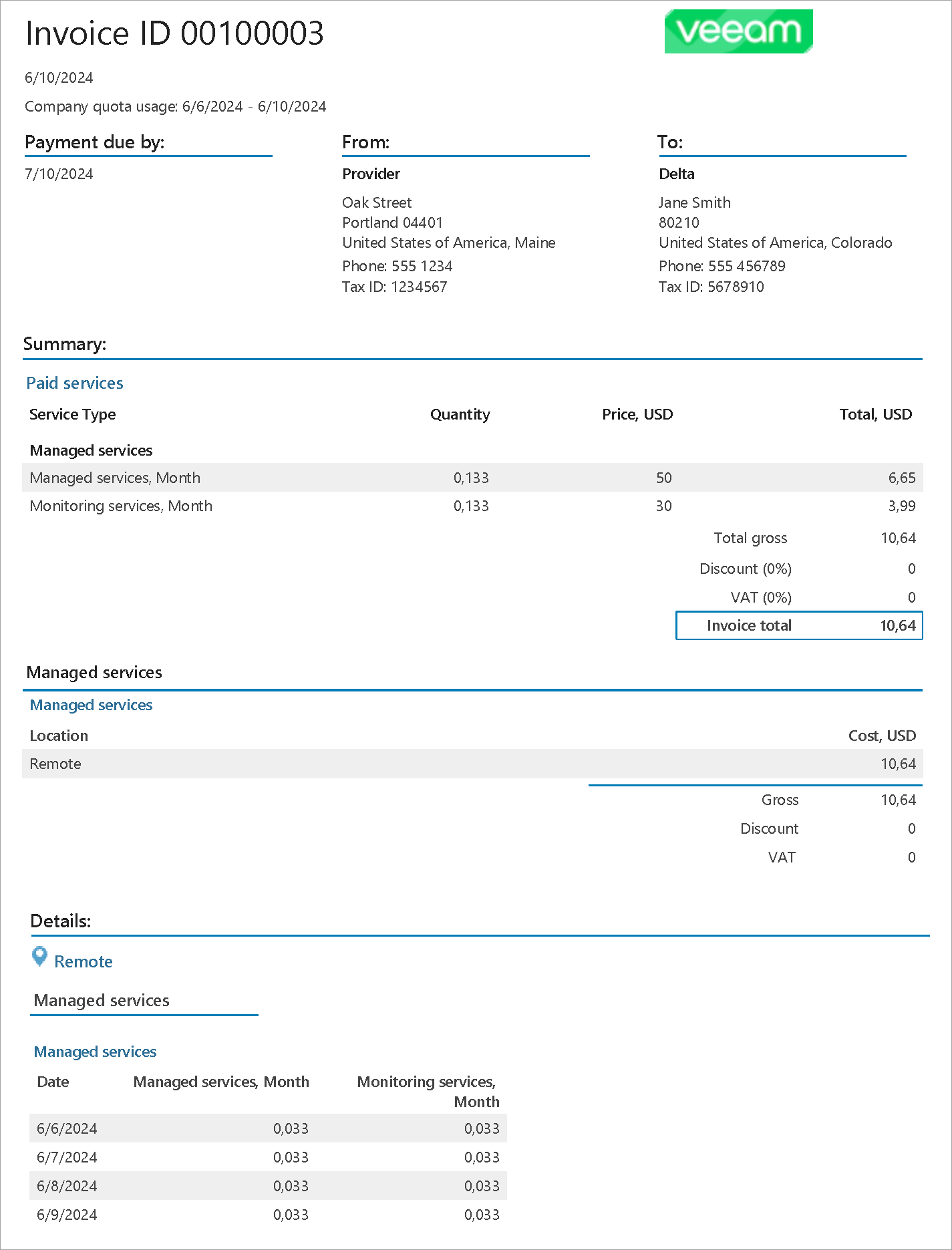 Invoice Example