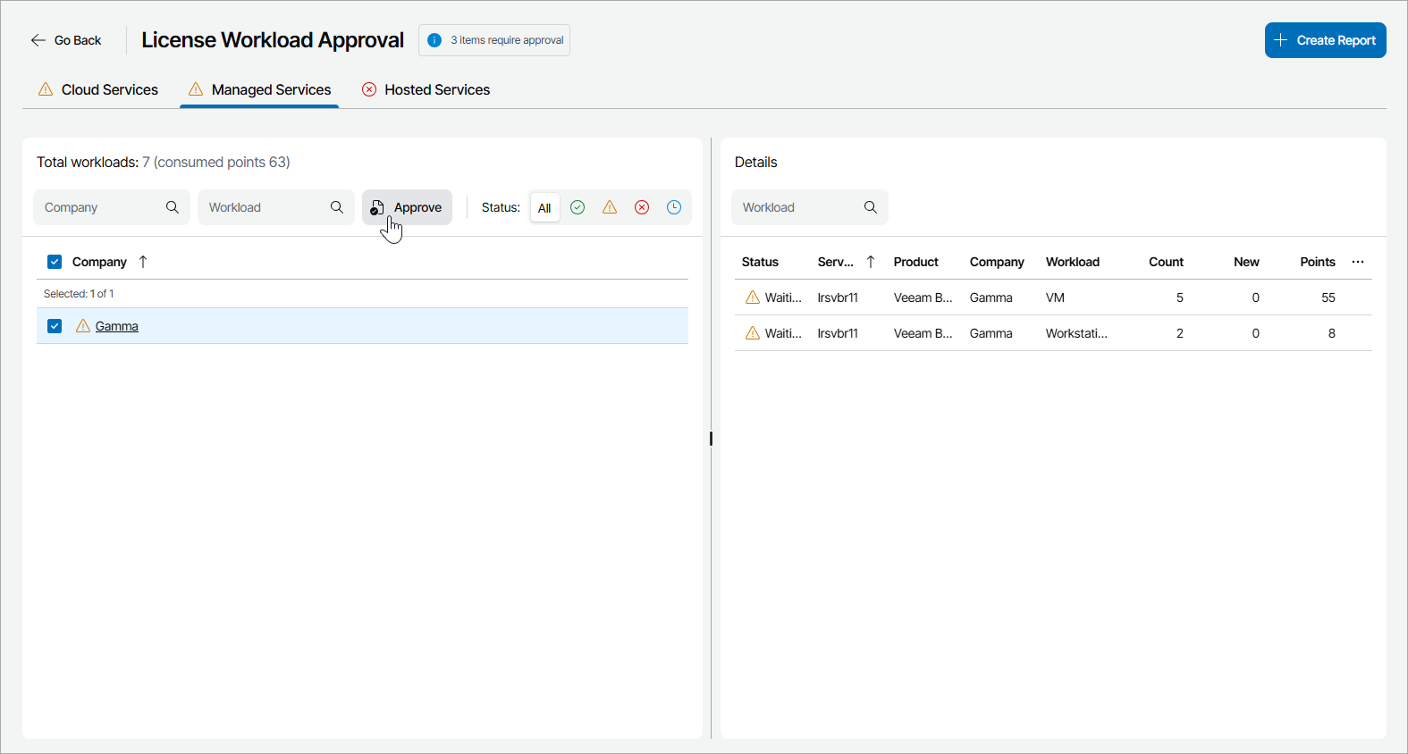 Approve License Usage Report
