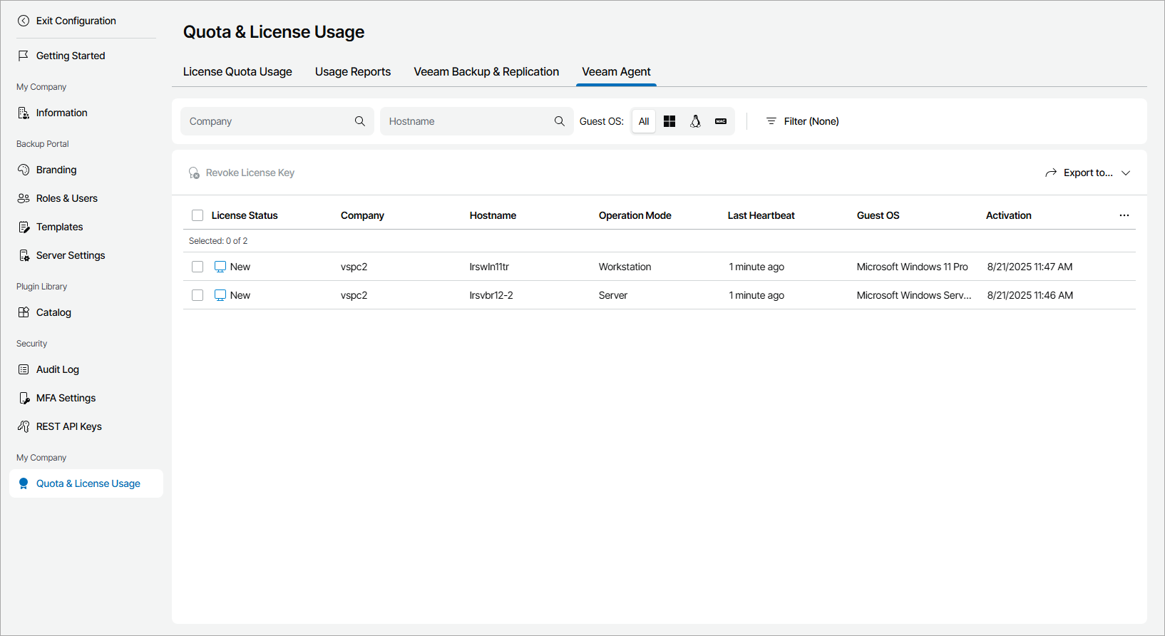 View Agents License Usage Information