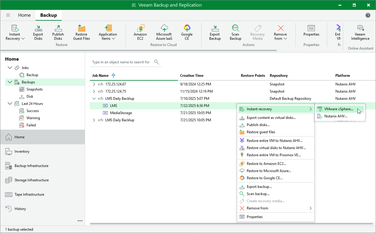 Performing Instant Recovery of Workloads to VMware vSphere