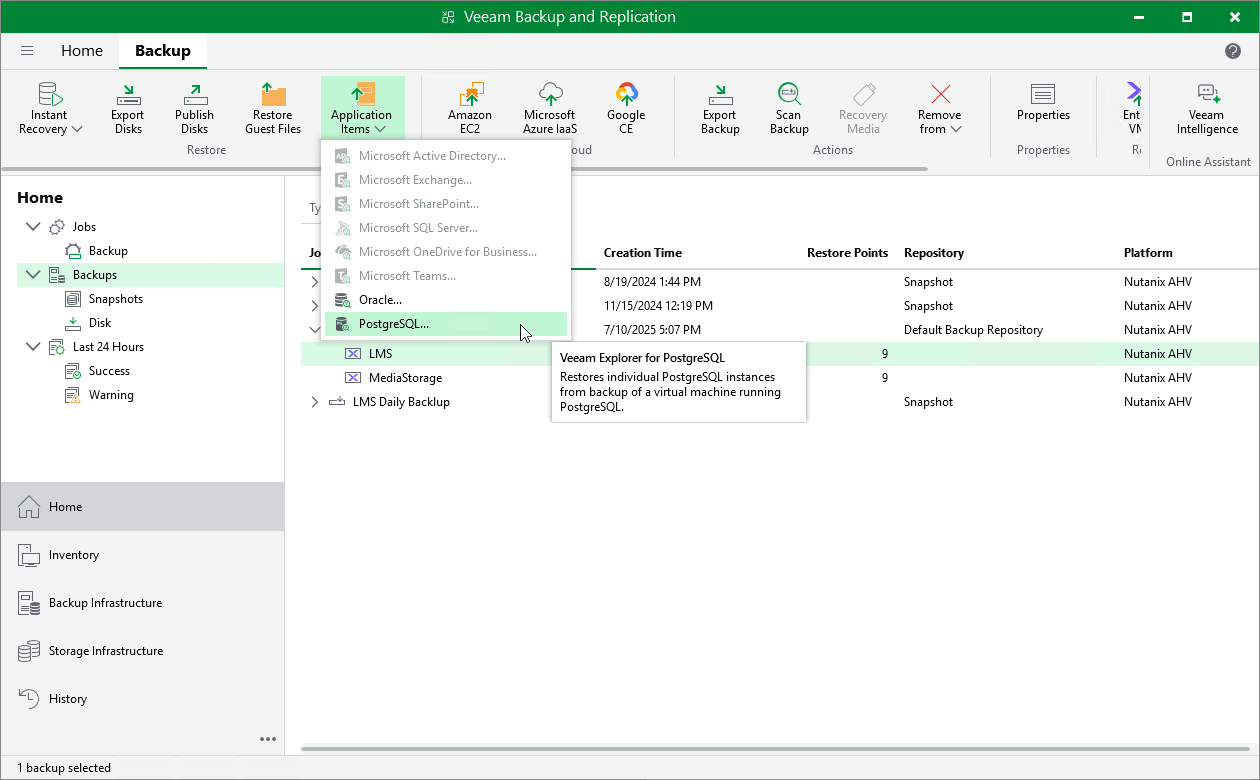 Performing Application Item Restore