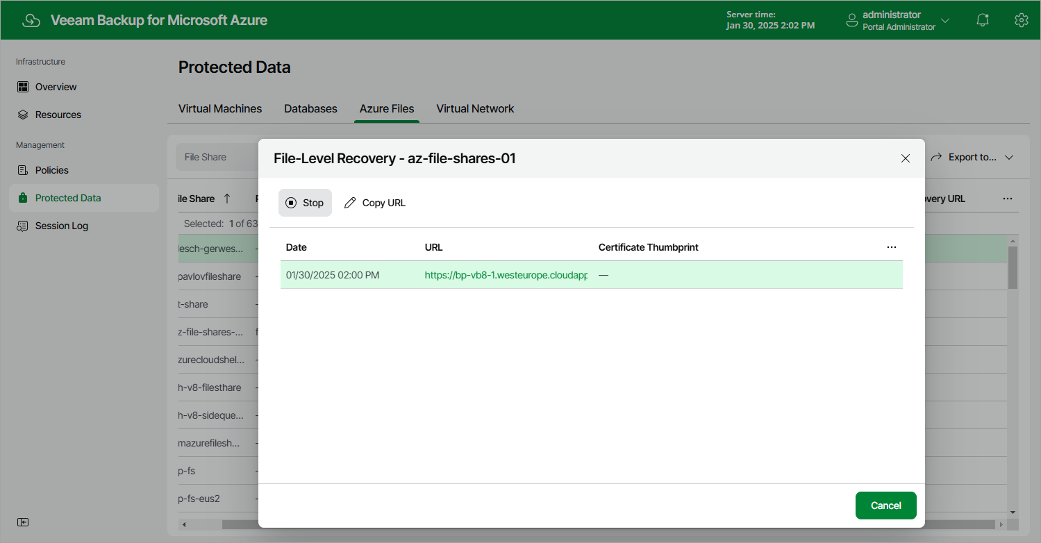 Performing File-Level Recovery