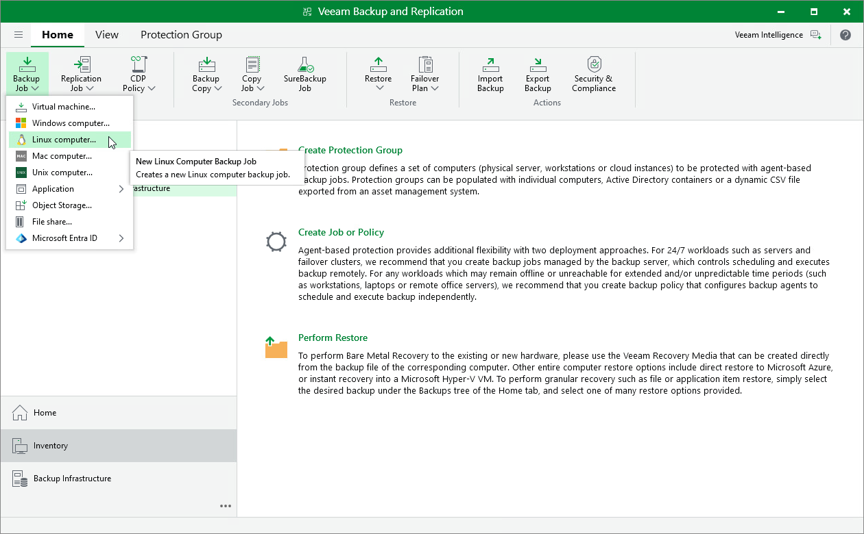 Launch New Agent Backup Job Wizard