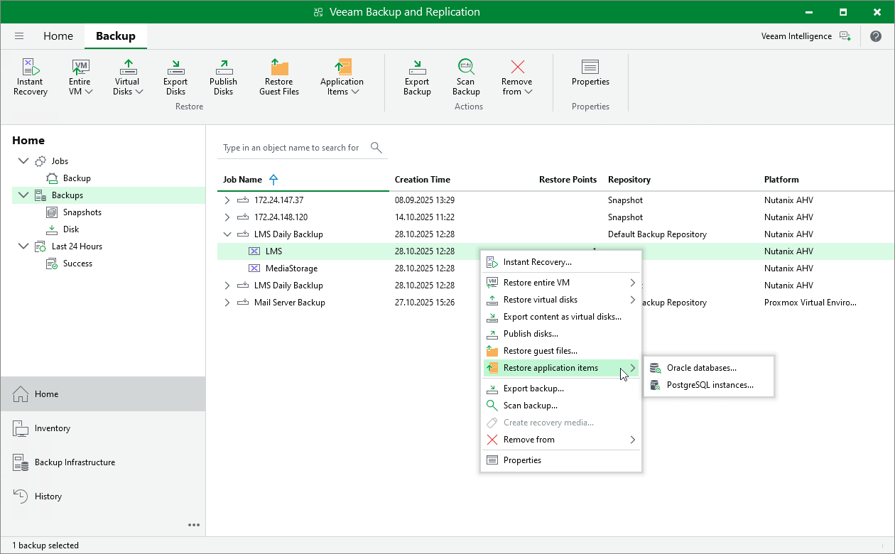 Performing Application Item Restore