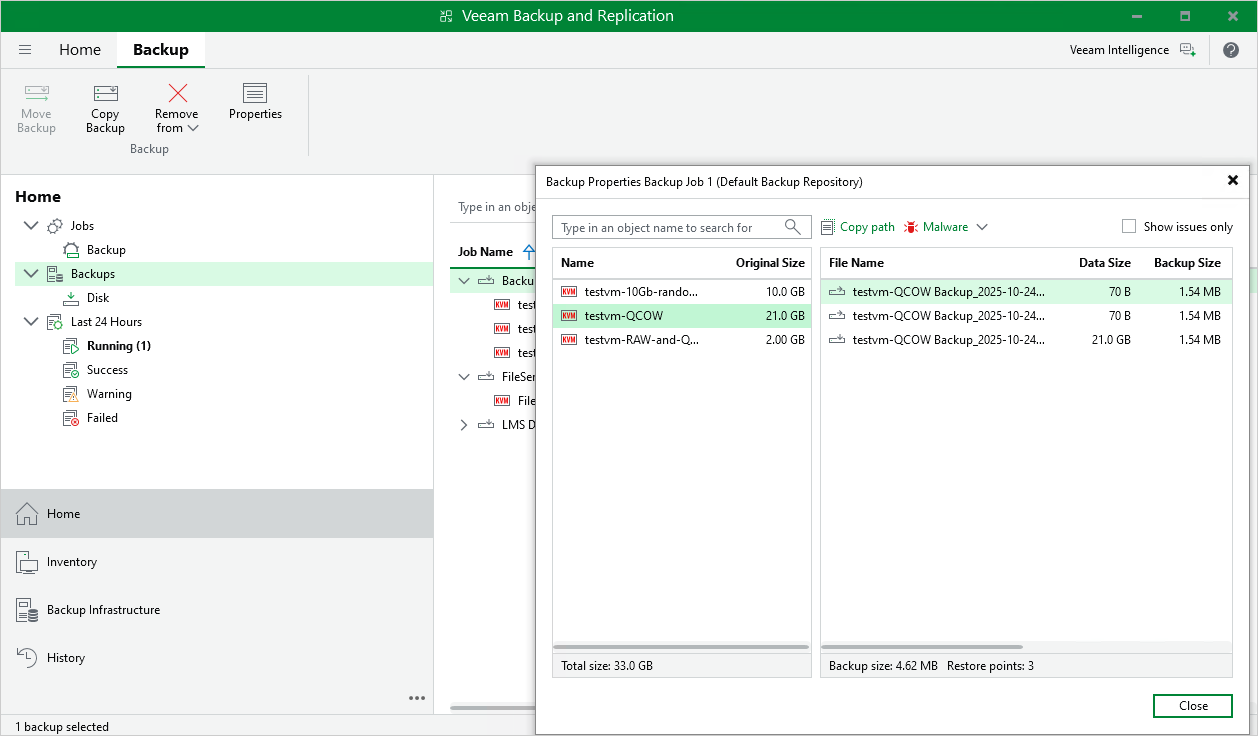 Viewing Backup Properties