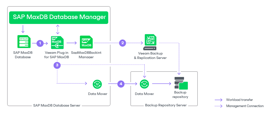 How Backup Operations Work