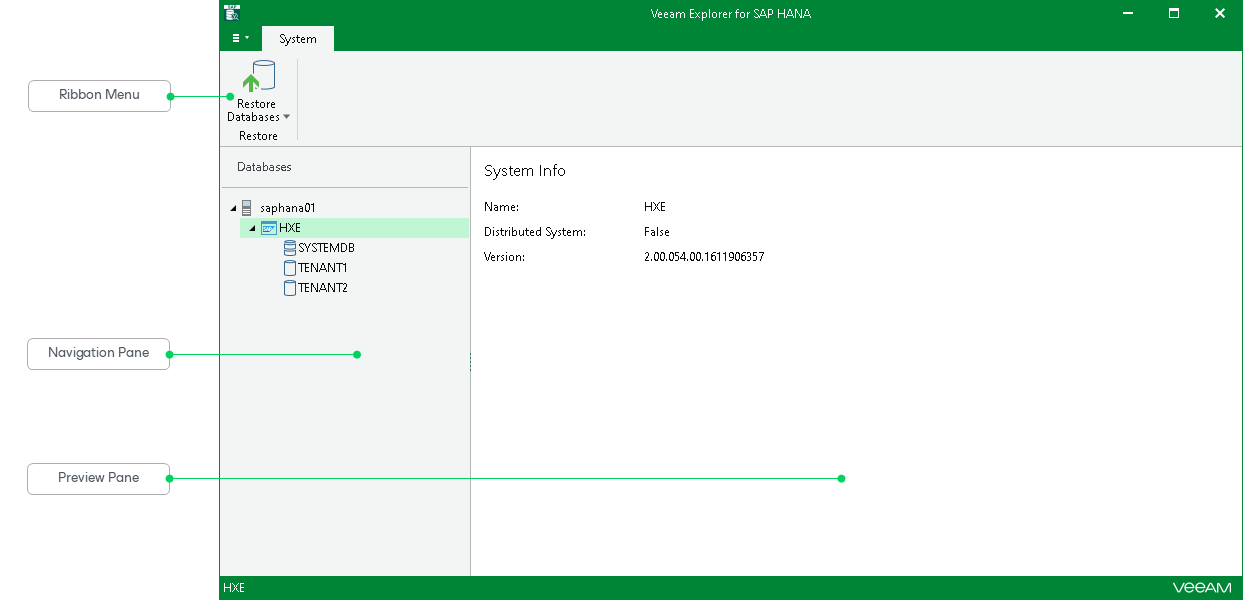 Components of Main Application Window