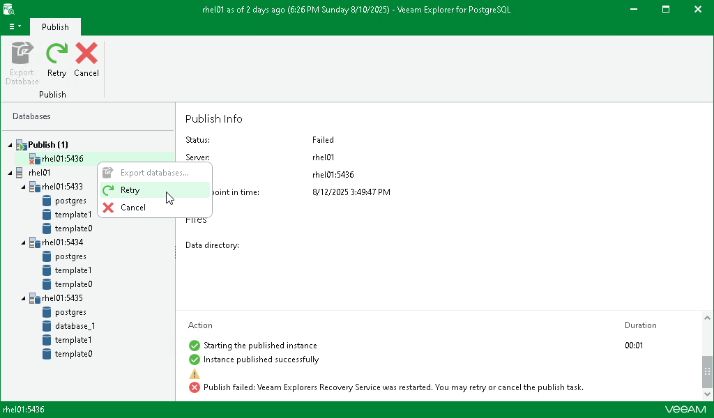 Starting the Retry Process Manually