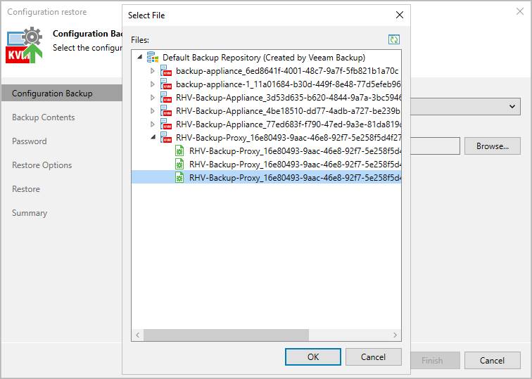 Step 2. Choose Backup File