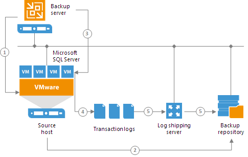 How Microsoft SQL Server Logs Backup Works