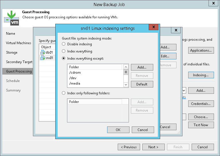 VM Guest OS File Indexing