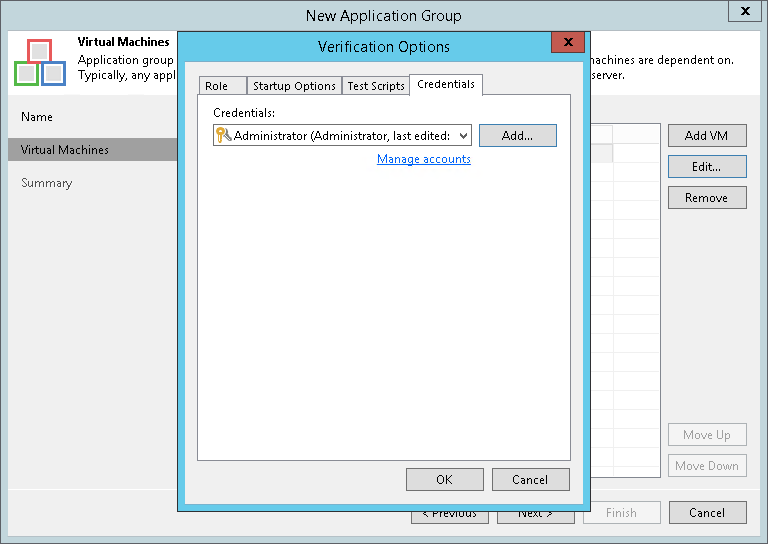 Step 4. Specify Recovery Verification Options and Tests