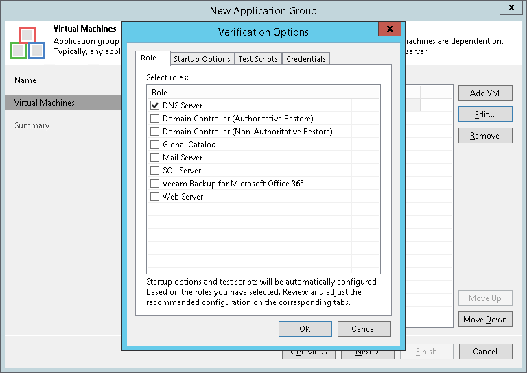 Step 4. Specify Recovery Verification Options and Tests