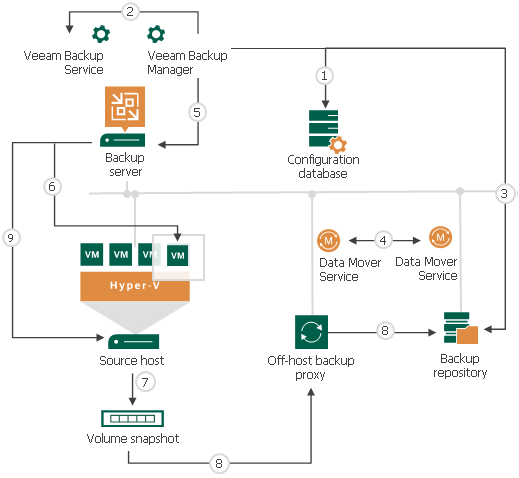 How Backup Works