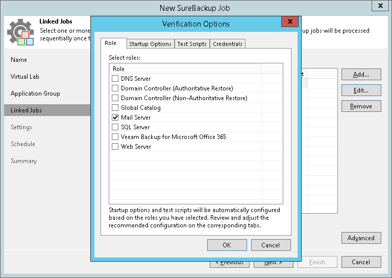 Step 6. Specify Recovery Verification Options and Tests