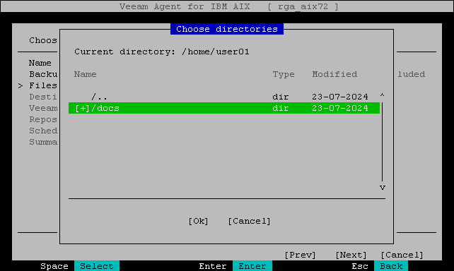 Step 4. Select Directories and Files to Back Up