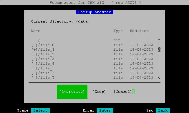 Restoring with Backup File Browser