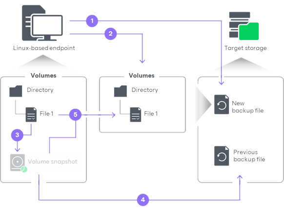 How File-Level Backup Works