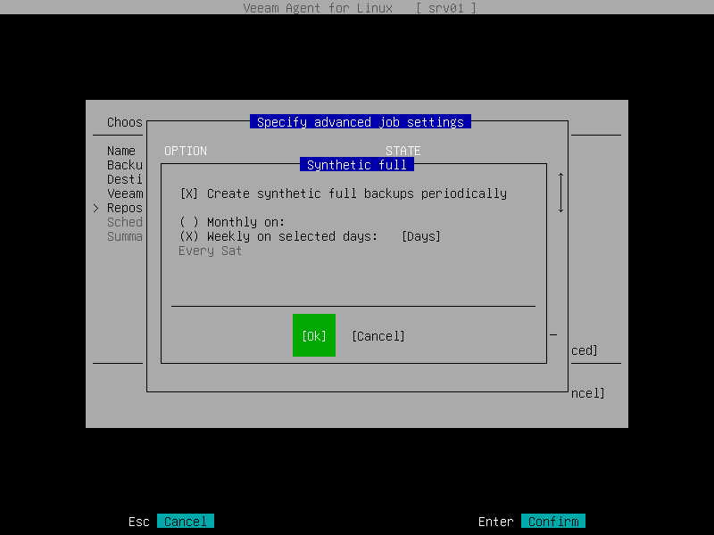 Synthetic Full Backup Settings