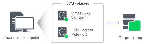 Volume-Level Backup