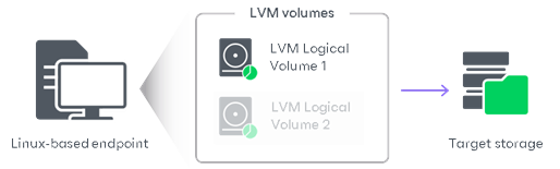 Volume-Level Backup