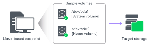 Volume-Level Backup