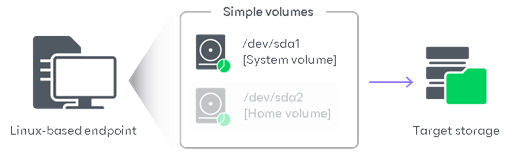 Volume-Level Backup