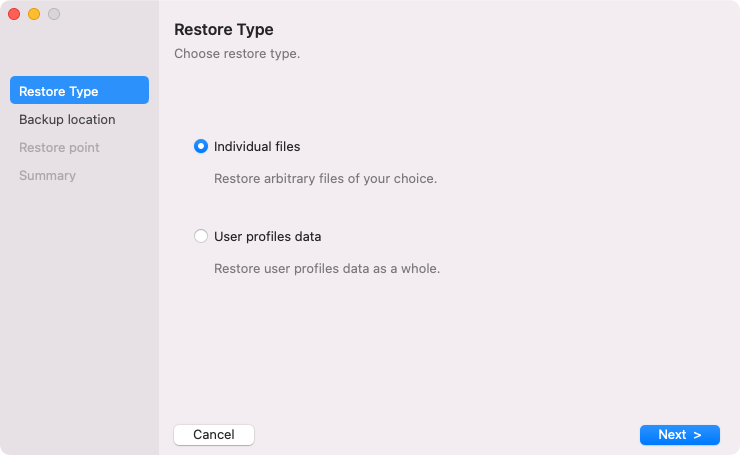 Step 2. Select Restore Type