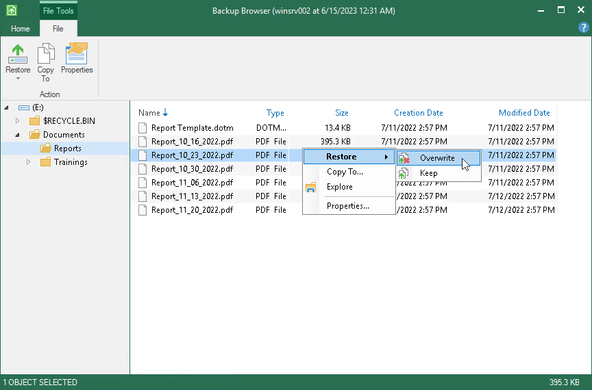 veeam backup files