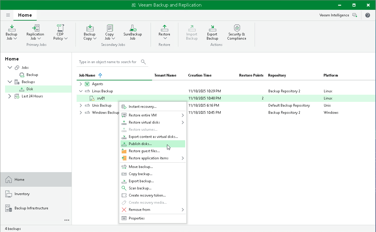 Launch Pubish Disks Wizard