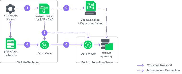 sap hana studio role for replication