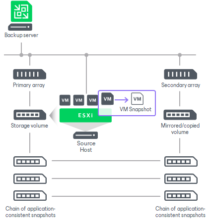 Snapshot Orchestration