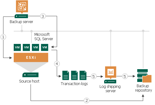 Briljant gezagvoerder kaas How Microsoft SQL Server Log Backup Works - User Guide for VMware vSphere
